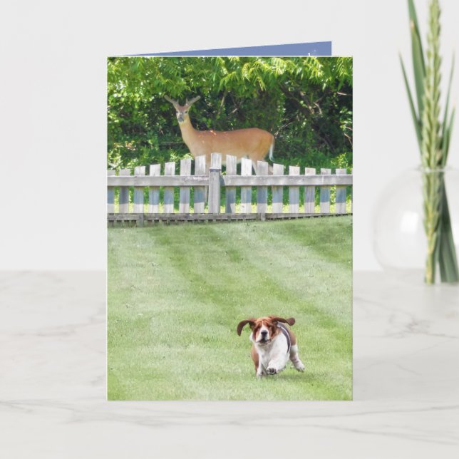 Courir Basset & Cerf Sur Une Carte D'Anniversaire  (Devant)