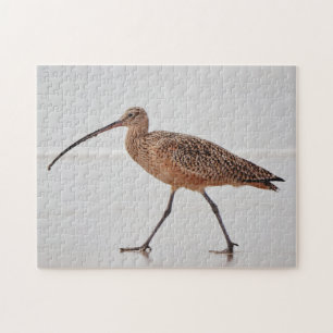 Courlis Bird Beach Walk Nature Puzzle