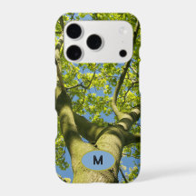 Couronne d'arbre verte Monogramme Photo avec ciel 