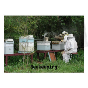 Cours de l'apiculture