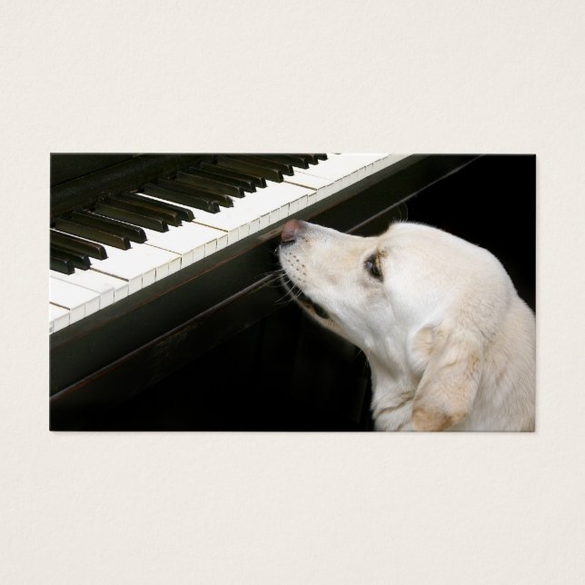 Cours de piano (Devant)