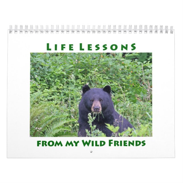 Cours de vie Calendrier animal (Protection)