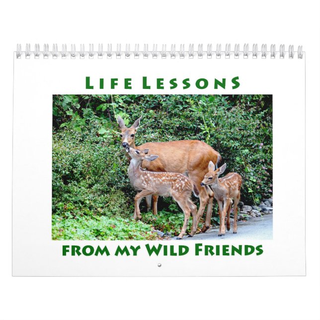 Cours de vie Calendrier animal sauvage (Protection)