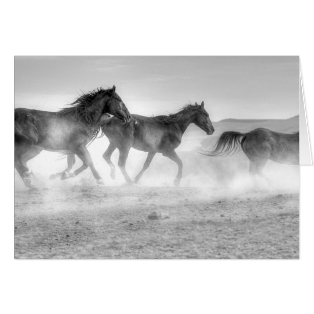 Course de mustang (Devant horizontal)
