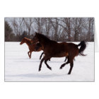 Course de neige de zen de B