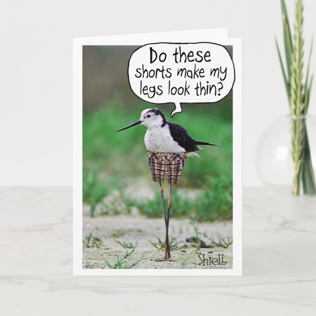 COURSES D'OISEAU FUNNY Carte ou cadeau (Devant)