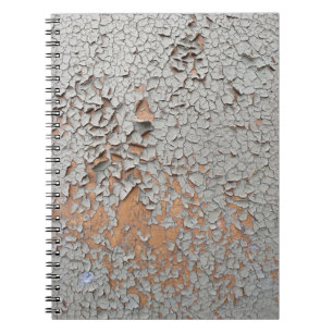 Court Notebook