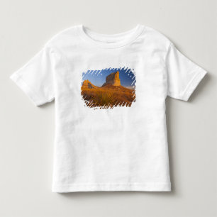 Courthouse and Jailhouse Rock near Bridgeport Toddler T-shirt