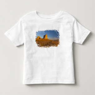 Courthouse and Jailhouse Rock near Bridgeport Toddler T-shirt