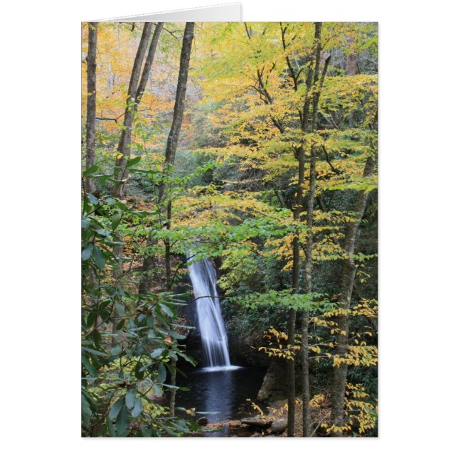 Courthouse Falls (Front)