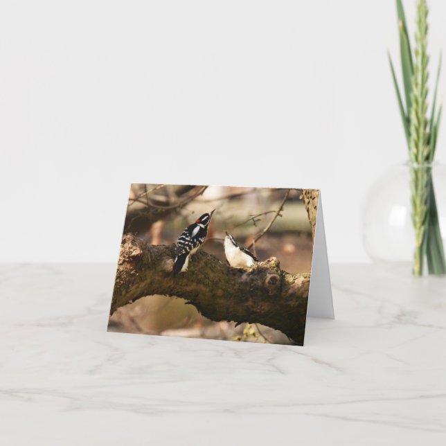 "Courtoisie" (Pic Downy) - Carte de note blanche (Devant)