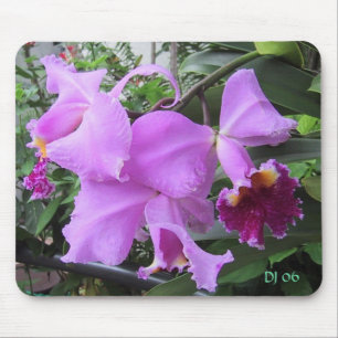 Courtyard Flowers, DJ 06 Mouse Pad