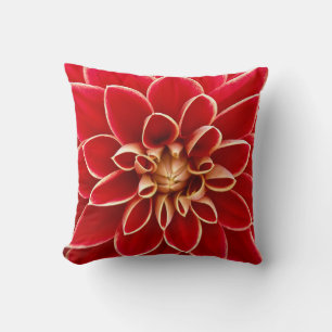 COUSSIN