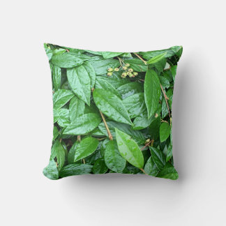 COUSSIN しっとり濡れた緑クッション