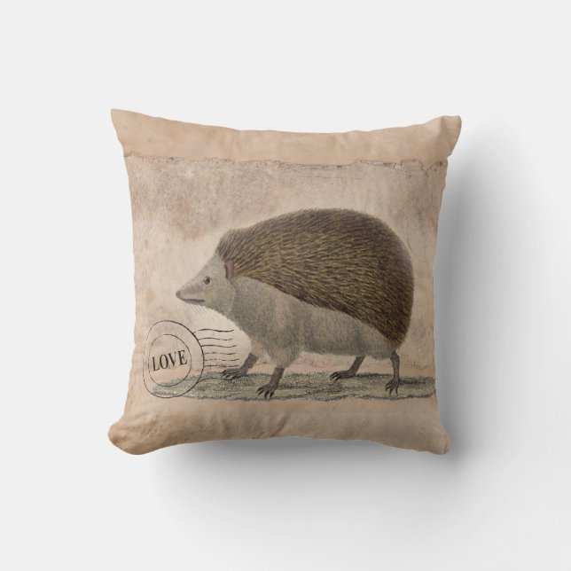 Coussin 20x20 de hérisson (Recto)