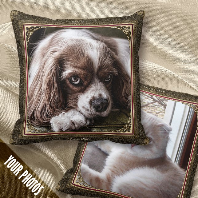 Coussin 2 garde photo pour animaux de compagnie, cadre Vin (Créateur téléchargé)