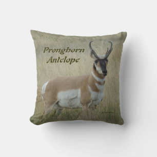 Coussin A8 Pronghorn Antelope Big Buck