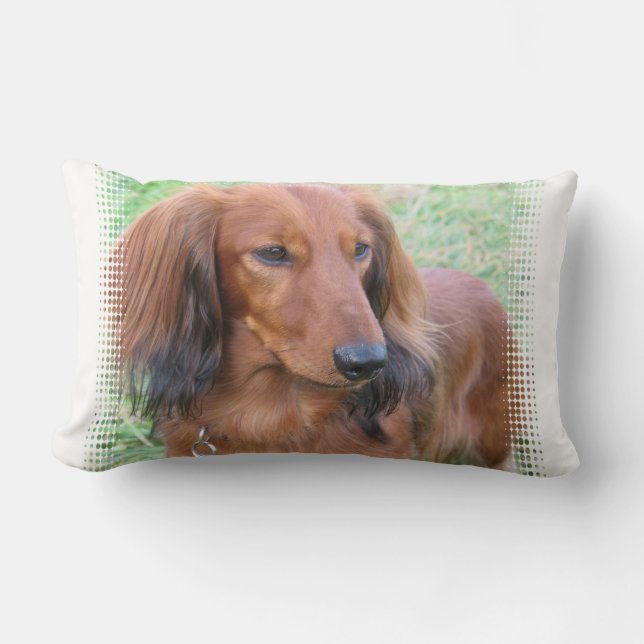 Coussin à cheveux longs de teckel (Recto)