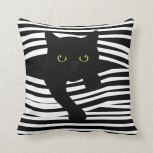 Coussin à la recherche de chats à travers des band