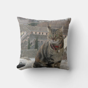 Coussin à lancer de chat 41 cm x 41 cm
