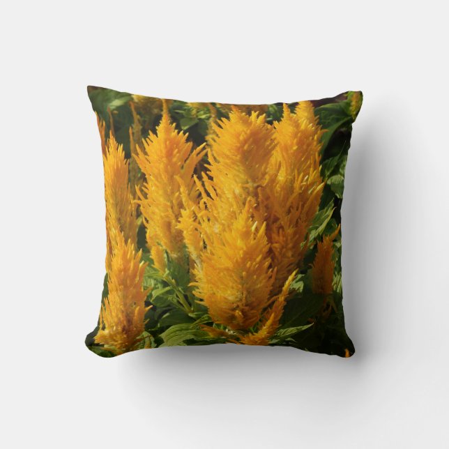 Coussin à lancer photo Plante jaune 41 cm x 41 cm (Recto)