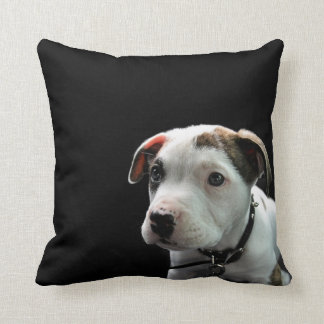 Coussin À l'os de pitbull de chiot