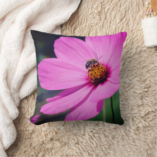 Coussin Abeille De Miel Sur Fleur De Cosmos Rose