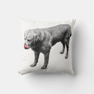 Coussin Accentuation pas chère