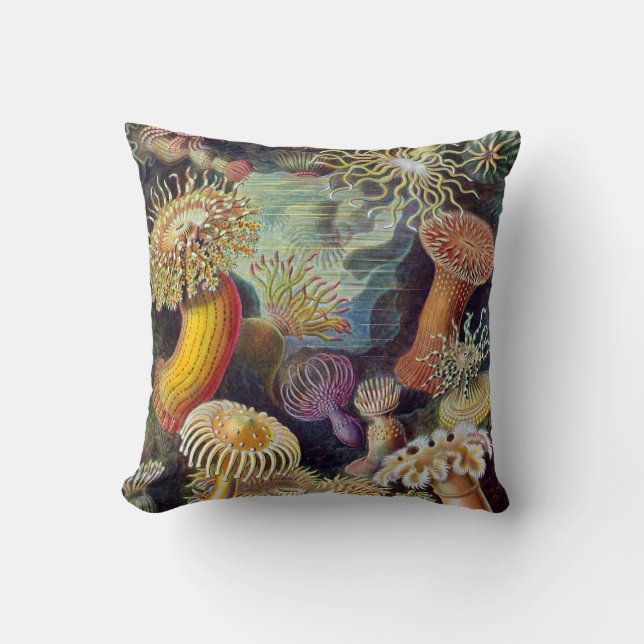 Coussin Actiniae par Ernst Haeckel (Recto)