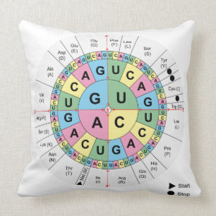 Coussin ADN de code génétique d'acides aminés de codons de