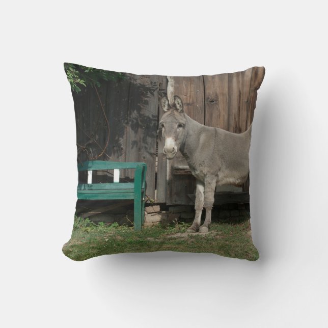 Coussin Adorable Âne À Côté Du Banc Vert Bois (Recto)