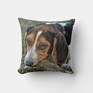Coussin Adorable Beagle Chewing A Bone