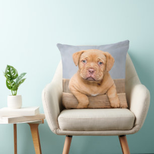 Coussin Adorable Dogue de Bordeaux chiot, Jeter l'oreiller