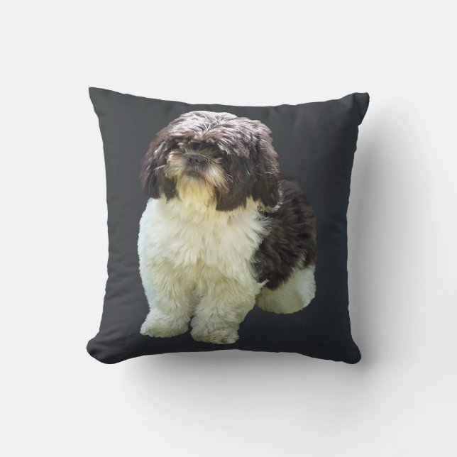 Coussin Adorable Shih Tzu Puppy (Recto)