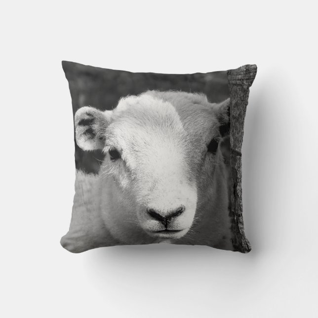 COUSSIN AGNEAU CUIT (Recto)