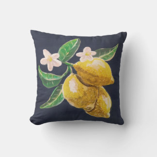 Coussin agrume