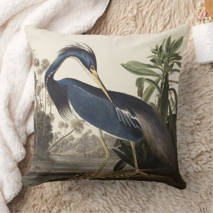 Coussin Aigrette de Louisiane vintage Audubon Art ornithol