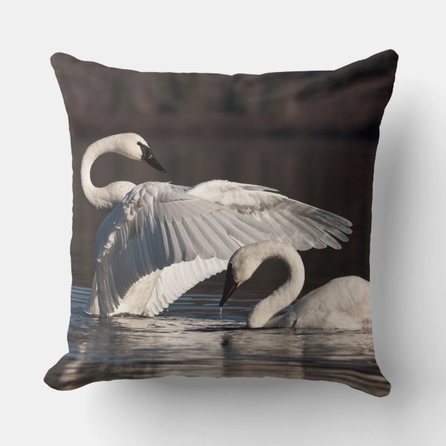 Coussin Aimer les cygnes (Recto)