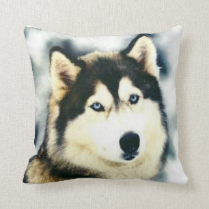 Coussin Almoada animaux de nombre 1