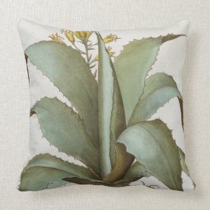Coussin Aloès américain : Aloès americana, du 'Hortus E