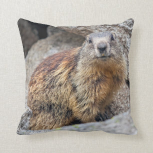 Coussin alpin de Marmot