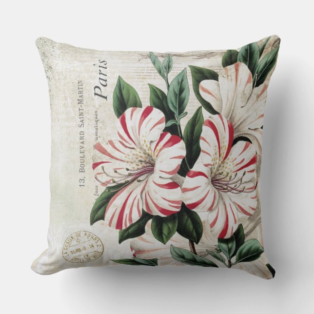 Coussin amarylis français vintage (Recto)