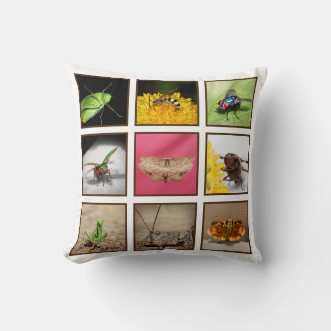 Coussin Amateurs de bogues délecter la photographie des in (Recto)