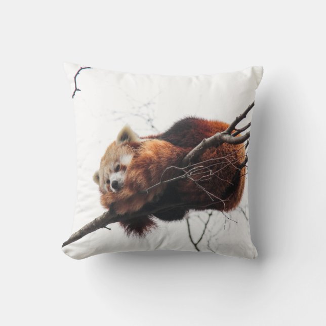 Coussin américain de mojo Red Panda (Recto)