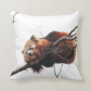 Coussin américain de mojo Red Panda