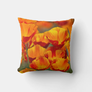 Coussin Amérique du Nord, États-Unis, Washington, Seattl