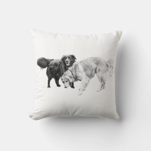 Coussin Amis Tranquilles, Soirées Cosy