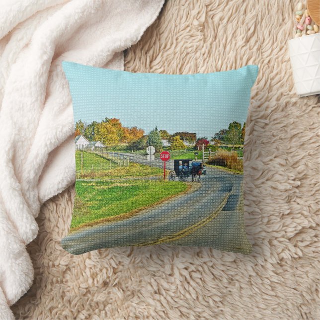 COUSSIN "AMISH BUGGY DANS UNE CAMPAGNE PAISIBLE" (Couverture)