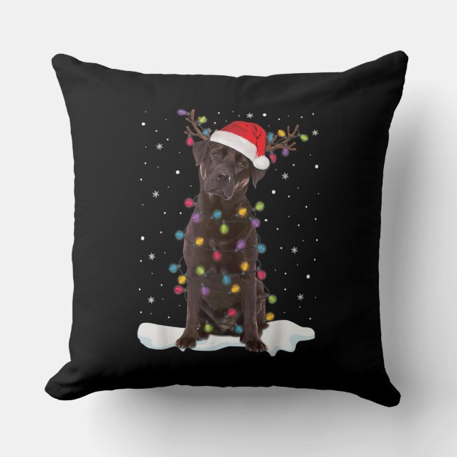 Coussin Amoureux des chiens | Chocolat Labrador Retriever  (Recto)