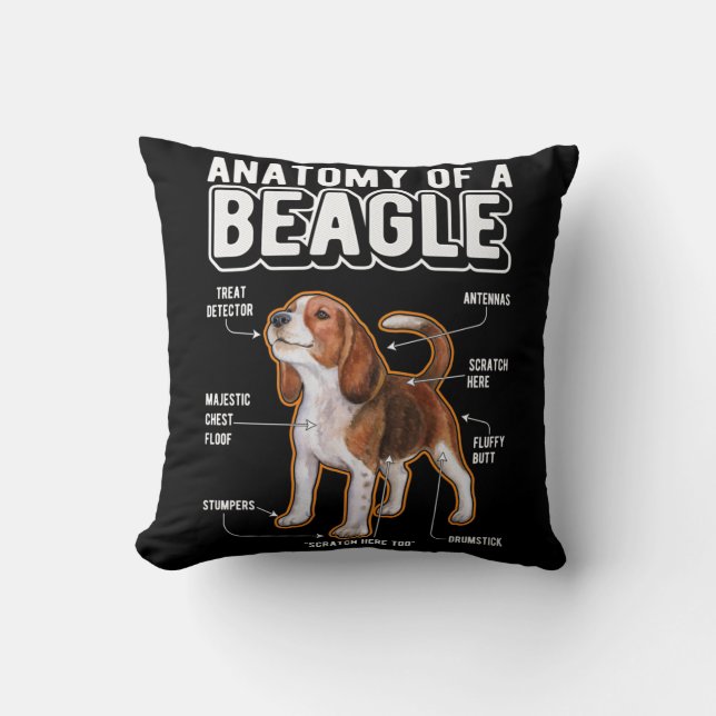 Coussin Anatomie beagle drôle chien (Recto)